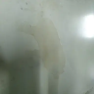 Profile image of 제작자