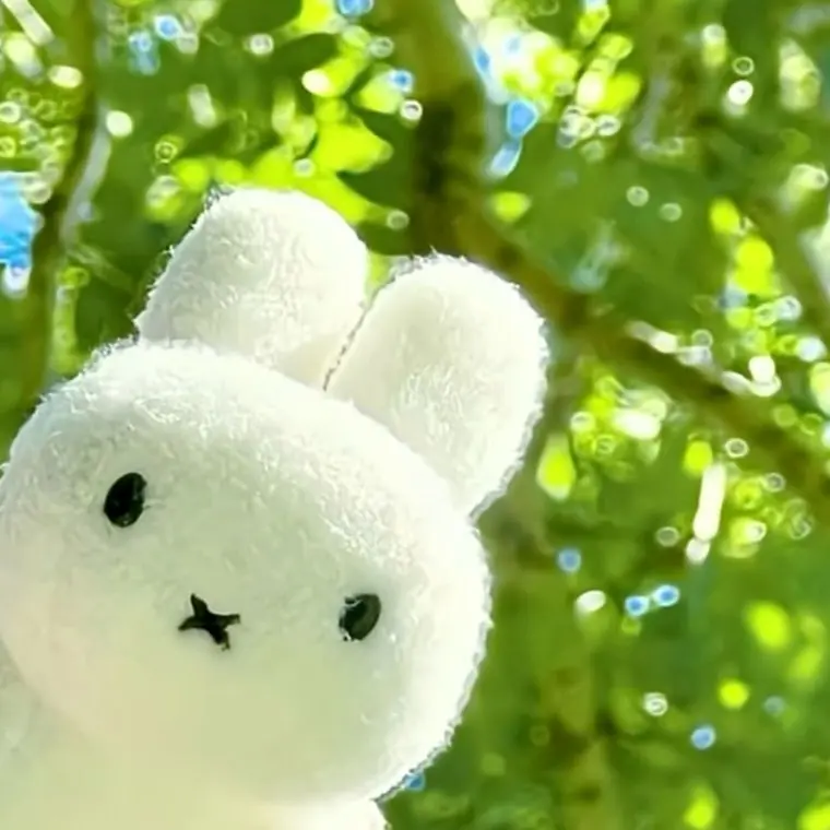 CoarseGulf2572의 놀아주세요