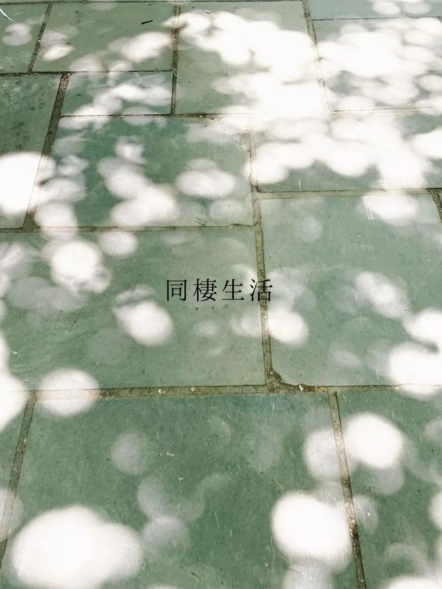 momonon의 同棲生活