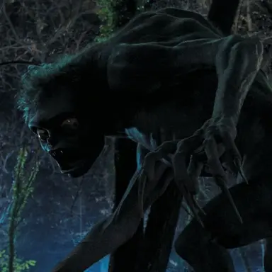 Profile image of 타일러