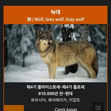 Profile image of 늑대