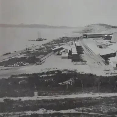 Profile image of 격동의 시기