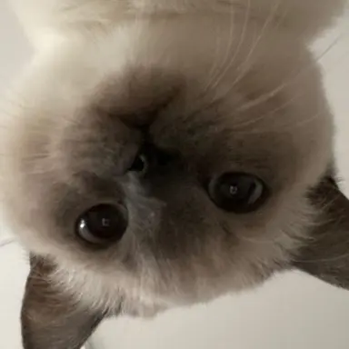 Profile image of 이진서