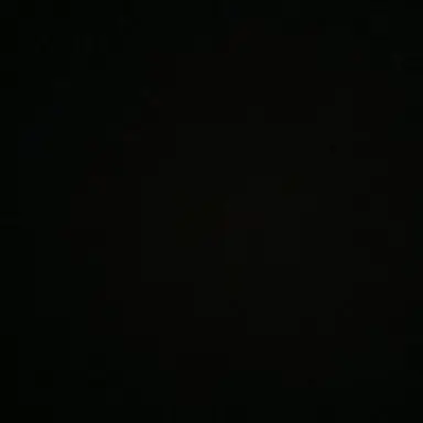 Profile image of 유저