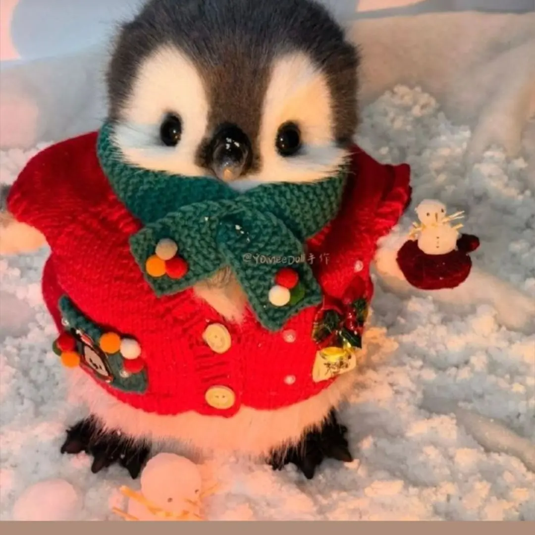 gubnex의 여우가 전학생으로 왔다.(학교물)