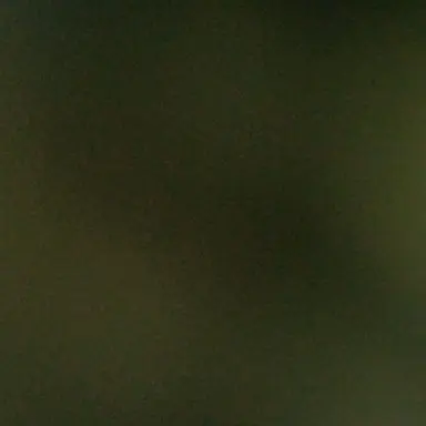 Profile image of 아름