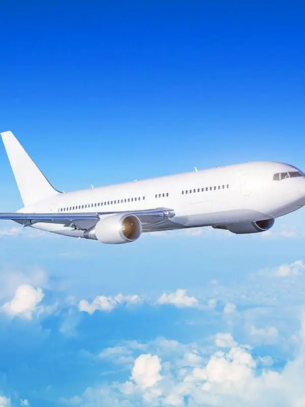 LemonyLoach9791의 프세카 카미고+못생긴 여우 수학여행