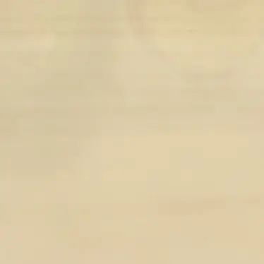 Profile image of 蓮