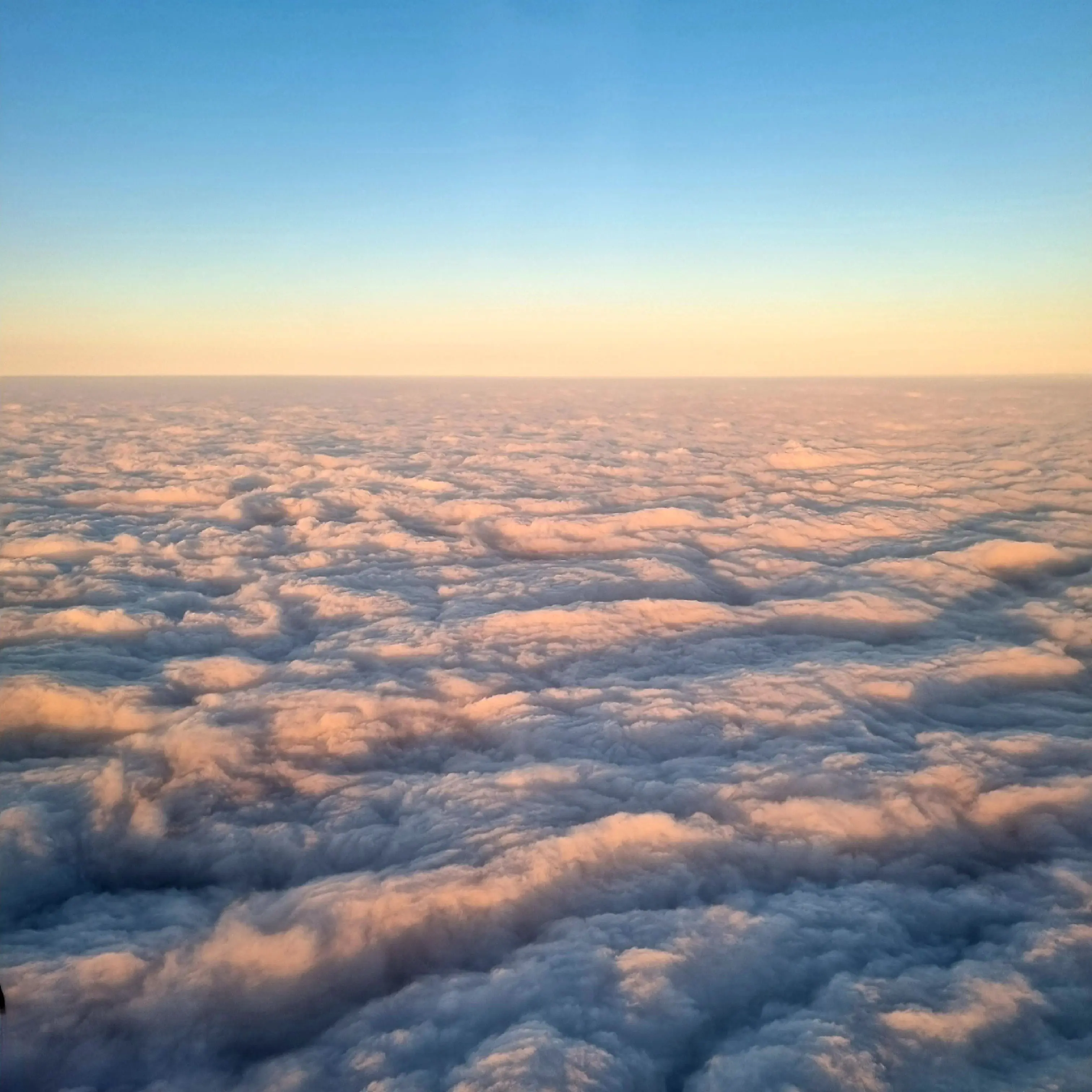 MustyTear6930의 이나경