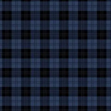 Profile image of 若井