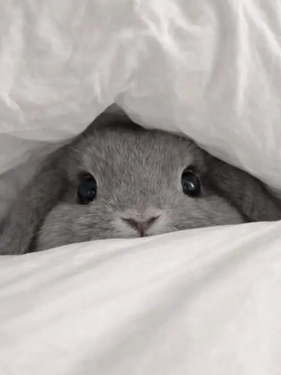 BlandTetra8819의 なんで僕が君なんかにっ！