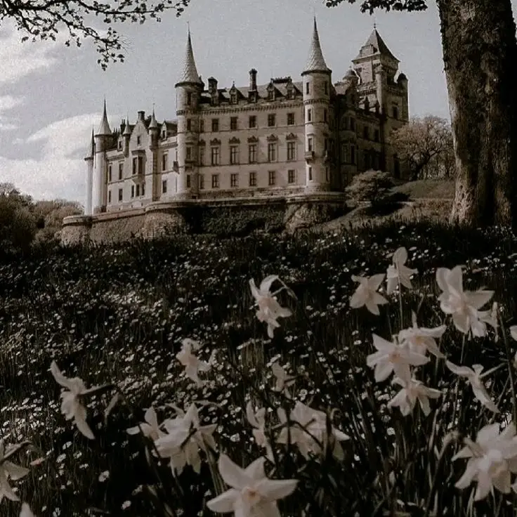 APPLE.APPLE_2nd의 김각별