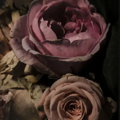 Profile image of 나루미 겐