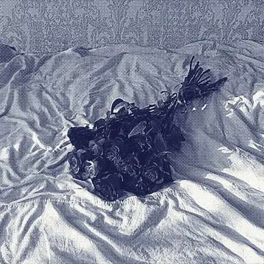 Profile image of 여수한