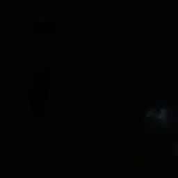 Profile image of シェド