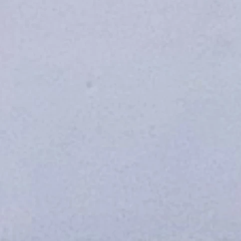 윤이도