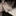 박지훈