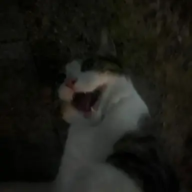 Profile image of 민윤기