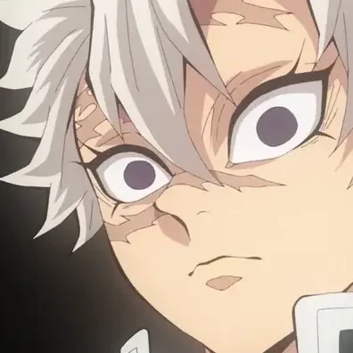 시나즈가와 사네미