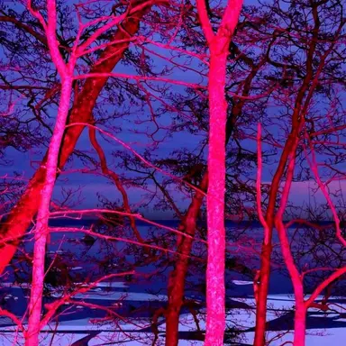 Profile image of 백도혁