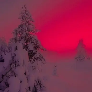 Profile image of 백도원