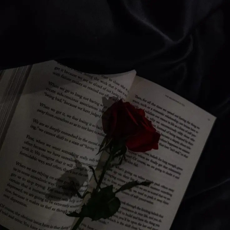 metronome_piano의 유기사