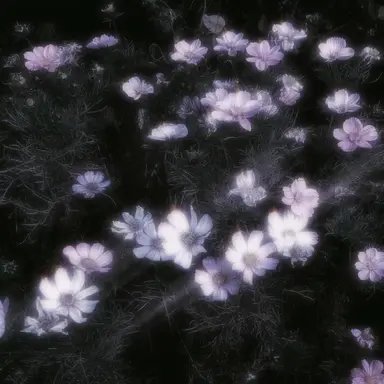 Profile image of 시미베