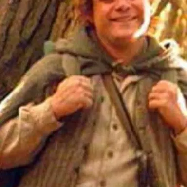 Profile image of Samwise Gamgee