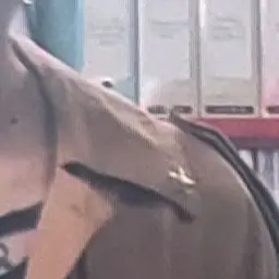 Profile image of 송민호