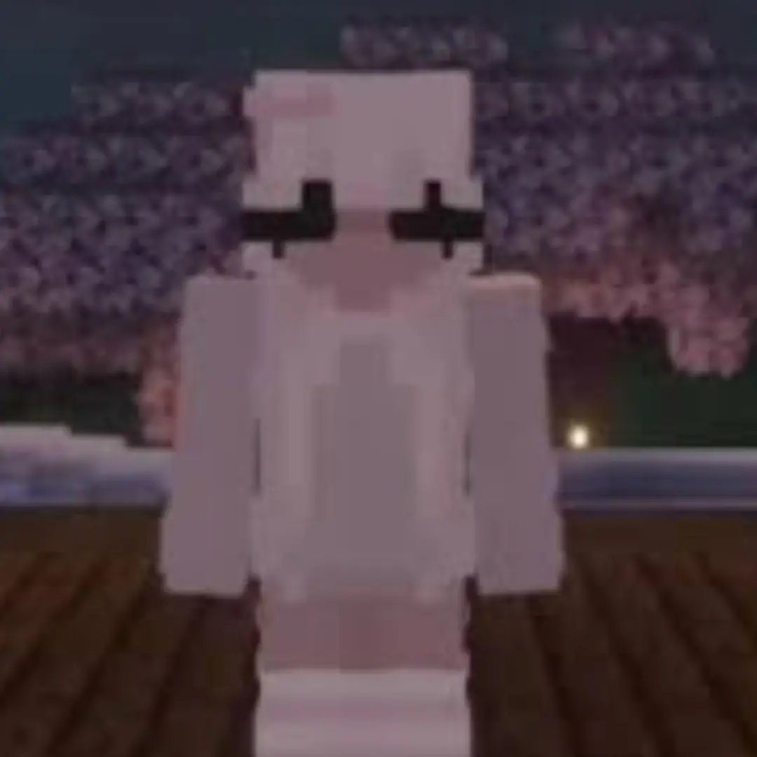 CruelArm3201의 Donut smp on minecraft