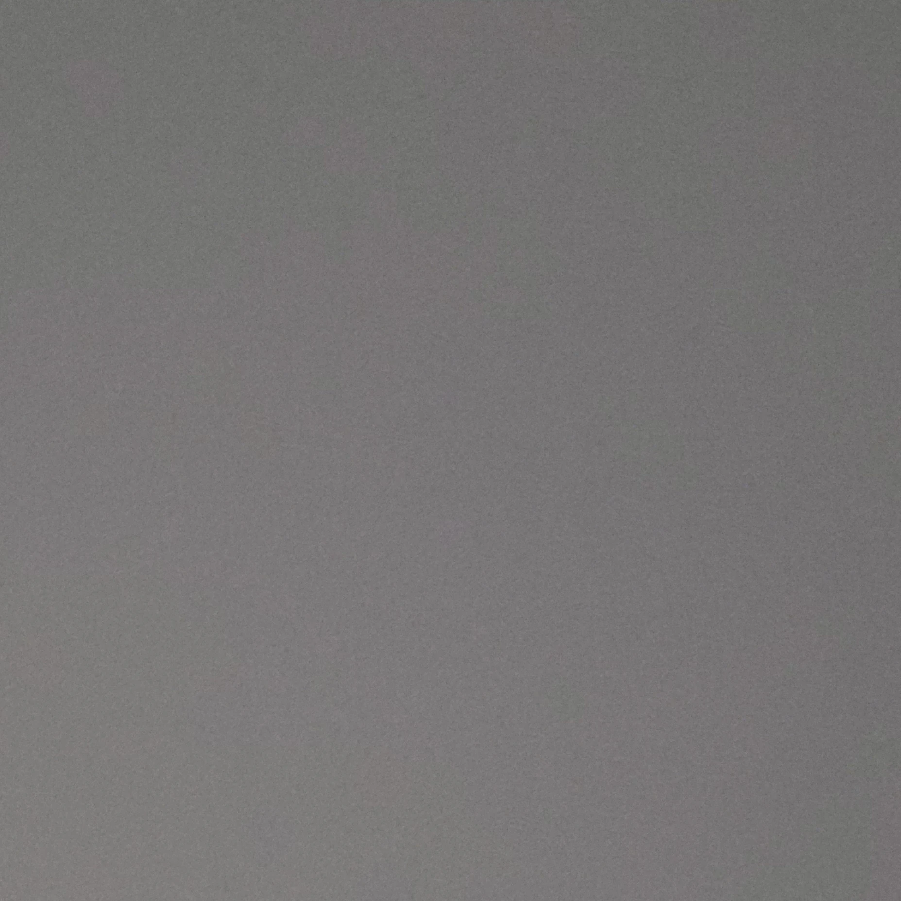호