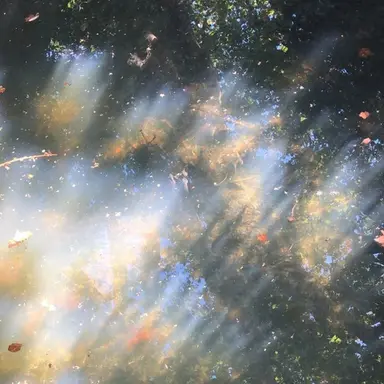 Profile image of 샵