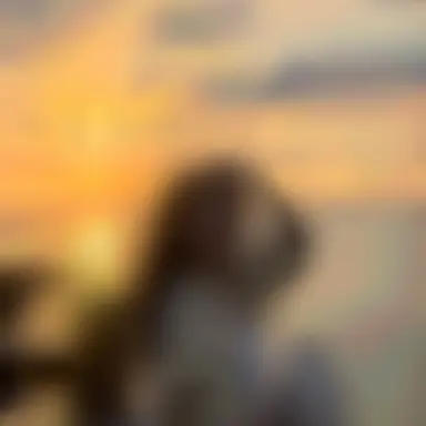 Profile image of 이서연