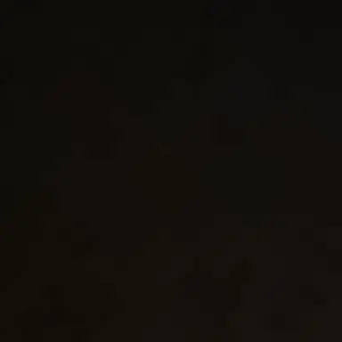 Profile image of 멜로우