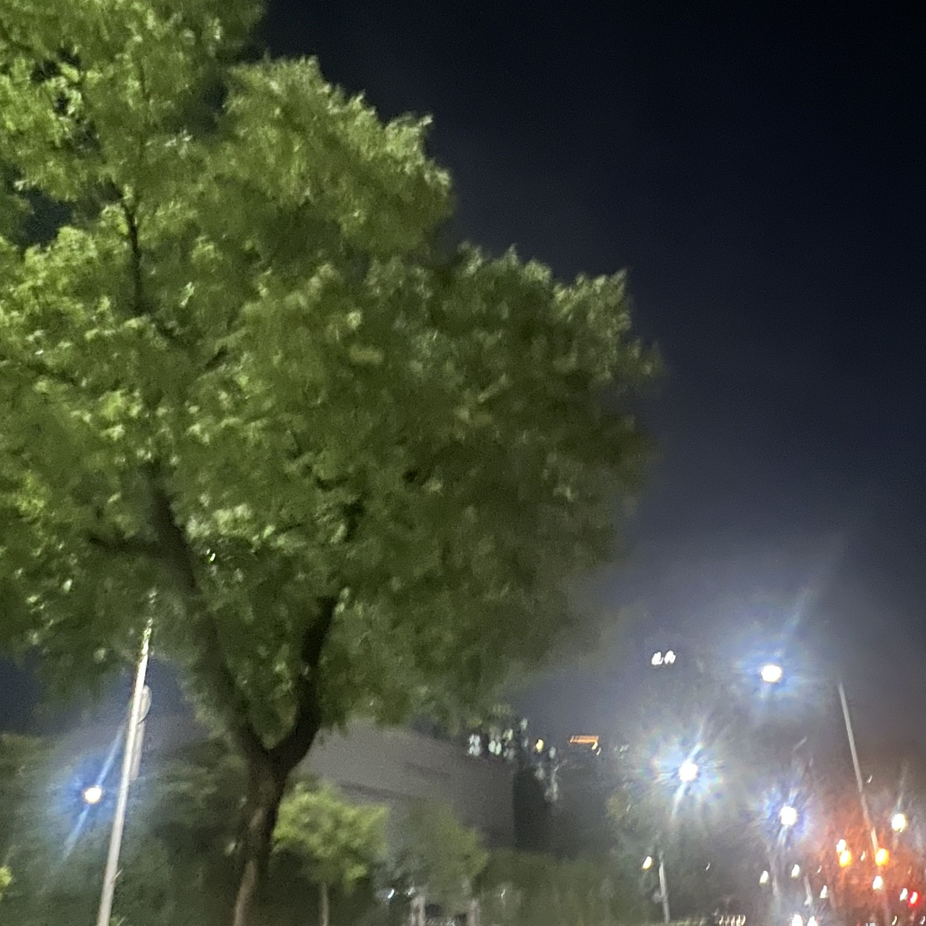 김태형 대표 이미지