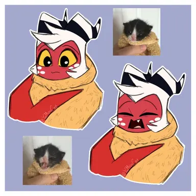 Profile image of モクシー