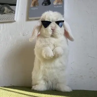 Profile image of 한다온