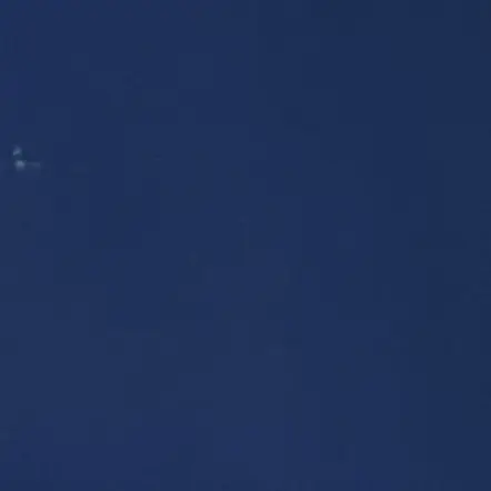 ....._.의 獣人の飼い主。