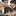 5人の吸血鬼(学園)