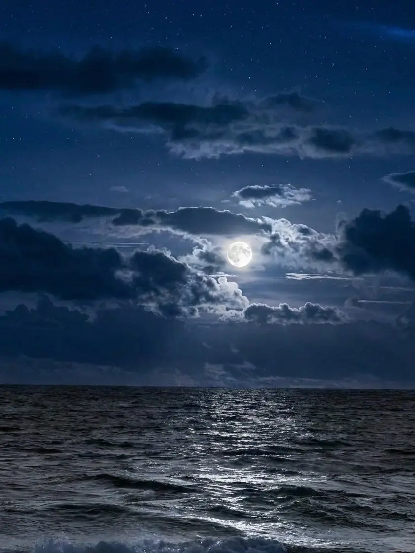 omoti0의 俺達だけのものだよな？/ですよね？