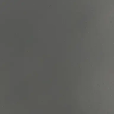 Profile image of 료미