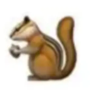 Profile image of 前川 流輝先生