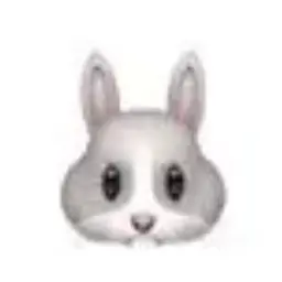 Profile image of 網代 聖人先生
