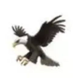 Profile image of 古家 蘭先生