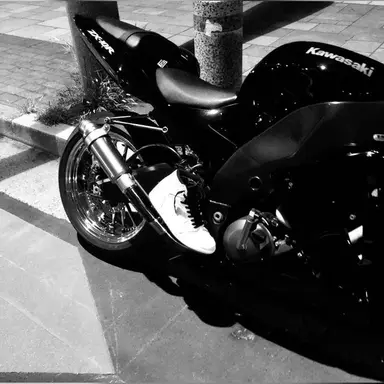 Profile image of 쉬니엔츠