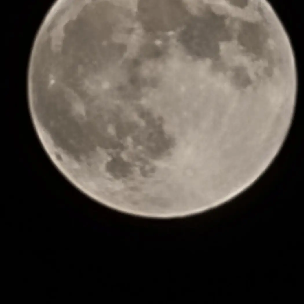 09041204의 김운..학