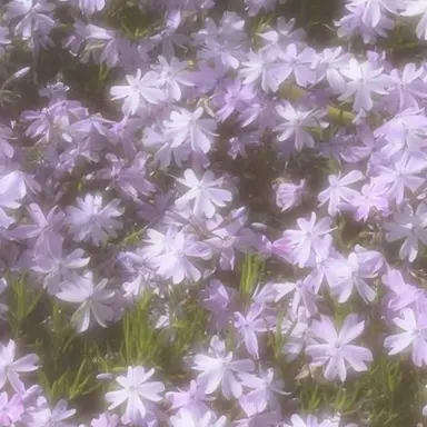 Profile image of じゅん