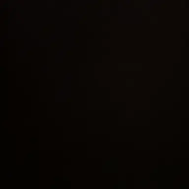 Profile image of 김동현