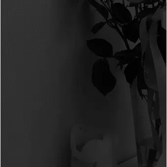 Profile image of 시미베
