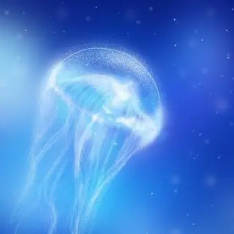 Profile image of 파이브